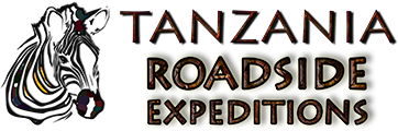 Tanzania Roadside Expeditions