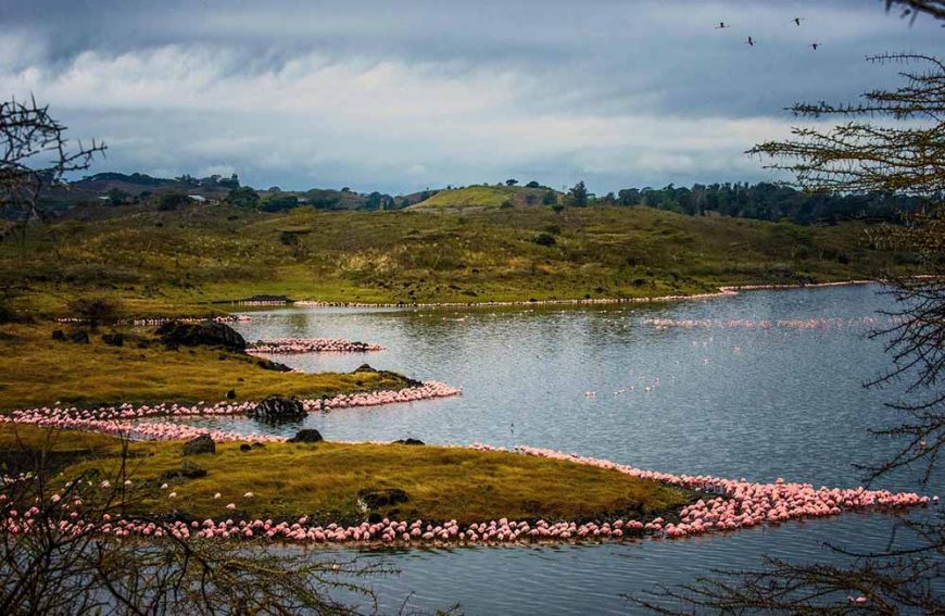 Arusha National Park Momela Lakes