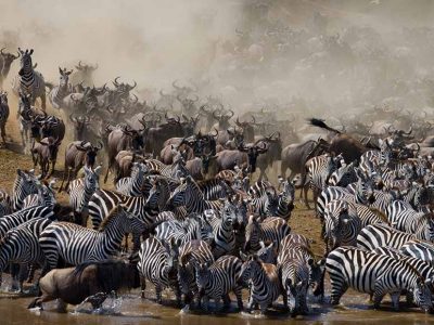 great migration 5