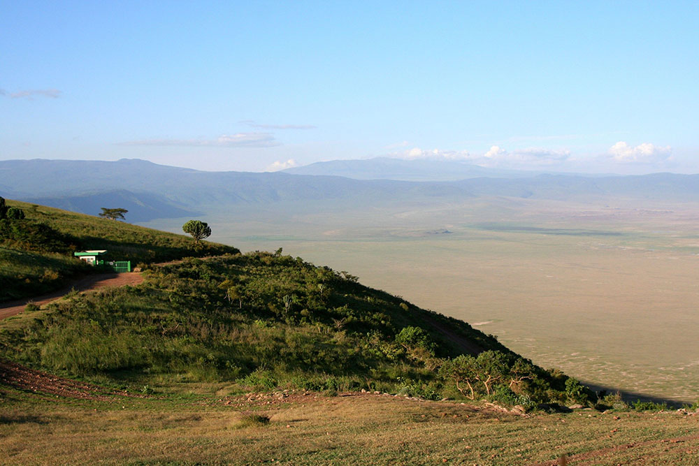 Tarangire & Ngorongoro Crater Safari