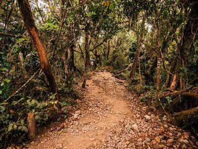 machame 2