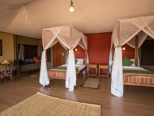 Karatu Simba Lodge 3