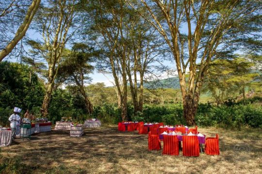 Ngorongoro Serena Safari Lodge 2