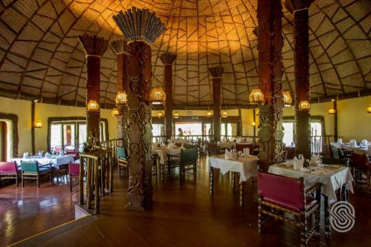 Serengeti Serena Safari Lodge 4