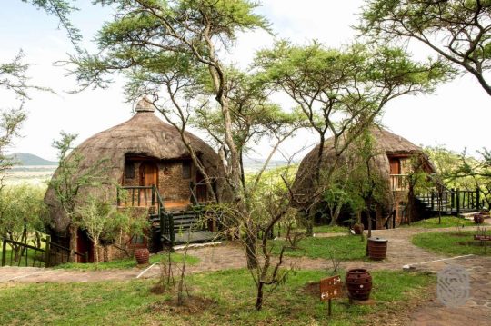 Serengeti Serena Safari Lodge 5