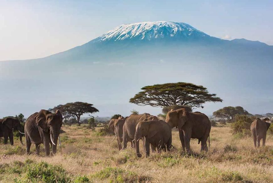 Safari to Amboseli, Budget Kenya Safari, Luxury Kenya Safari