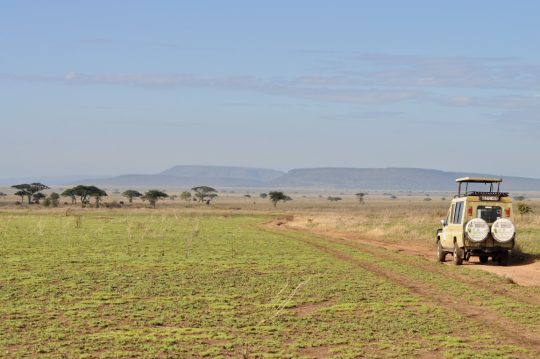 tanzania roadside safari (51)