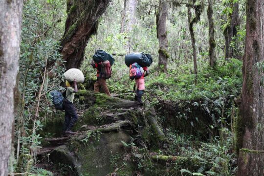 machame 1 (2)